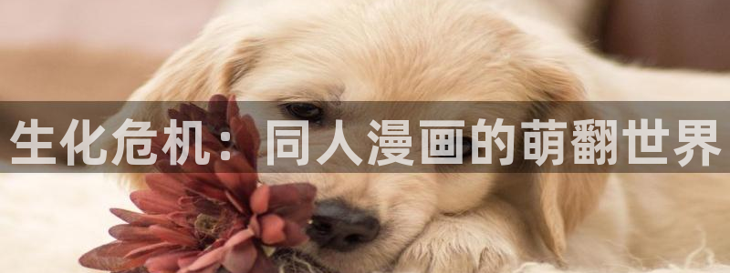 韩国虫虫漫画：生化危机：同人漫画的萌翻世界
