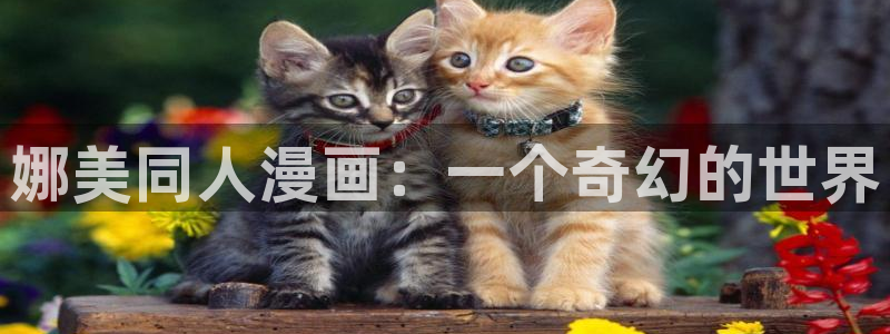 免费的完整虫虫漫画下载：娜美同人漫画：一个奇幻的世界