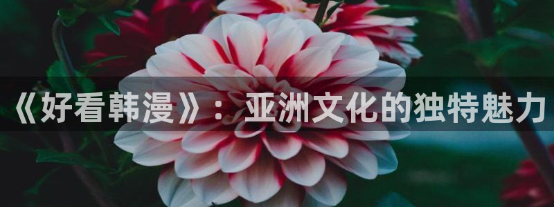 虫虫漫画免费漫画入口：《好看韩漫》：亚洲文化的独特魅力