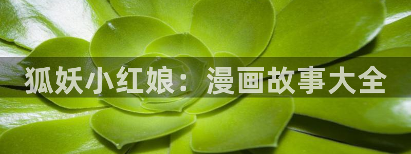 虫虫漫画免费漫画大全：狐妖小红娘：漫画故事大全