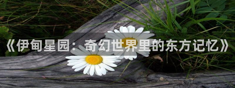 虫虫漫画黄：《伊甸星园：奇幻世界里的东方记忆》