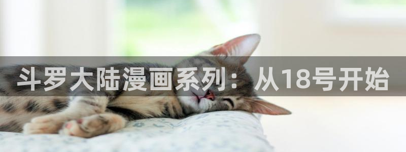 虫虫漫画在线免费观看：斗罗大陆漫画系列：从18号开始