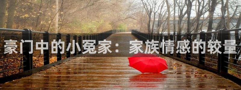 虫虫漫画开心网：豪门中的小冤家：家族情感的较量